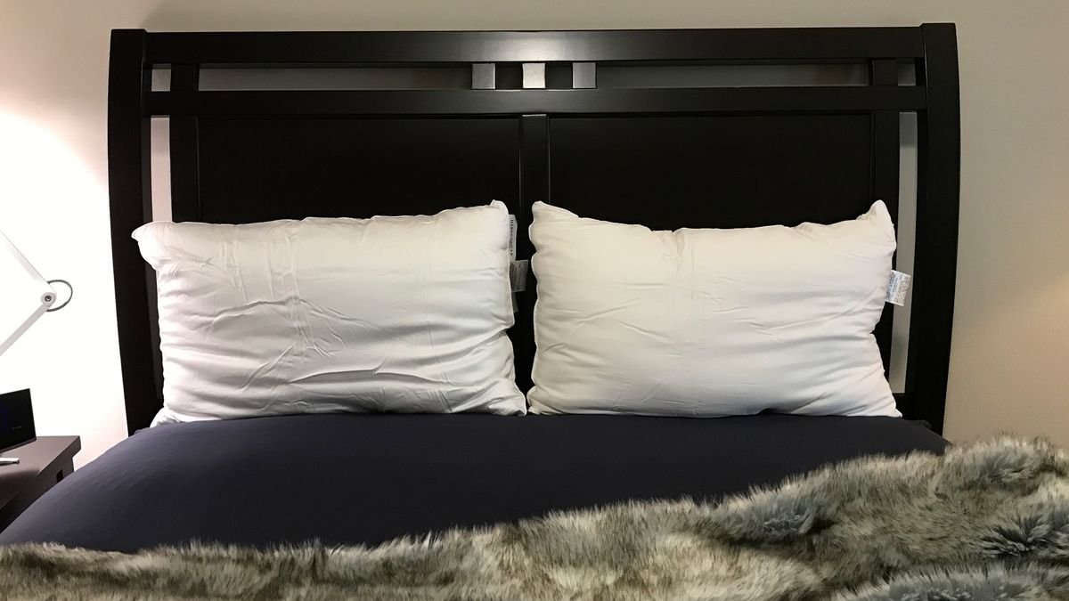 A pair of Cozy Earth Silk Pillows on a bed